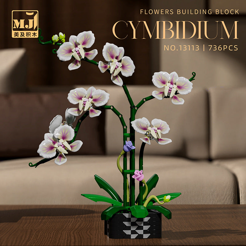 Cymbidium