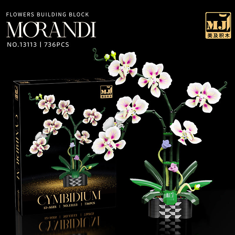 Cymbidium